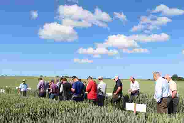 MSP to host Winter Wheat Trials Open Evening