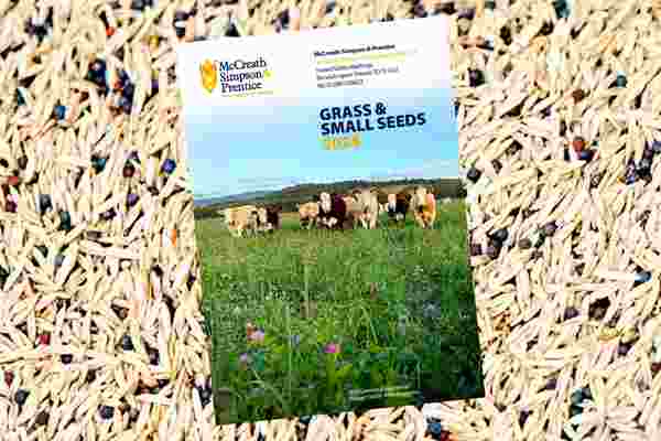 Grass Seed & Cover Crops 2024: Browse our new brochure!
